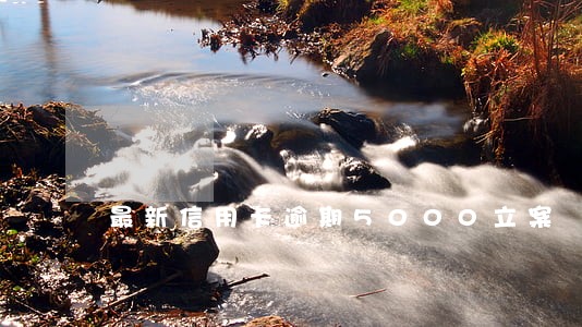 最新信用卡逾期5000立案 最新信用卡逾期5000立案