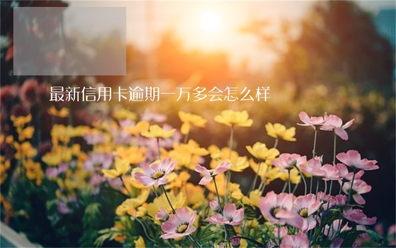 最新信用卡逾期一万多会怎么样 最新信用卡逾期一万多会怎么样