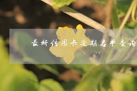 最新信用卡逾期名单查询