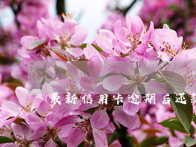 最新信用卡逾期后还款规定 最新信用卡逾期后还款规定