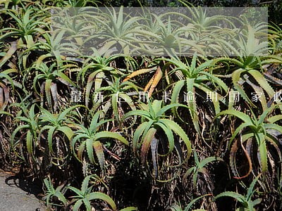 最新信用卡逾期国家政策 最新信用卡逾期国家政策