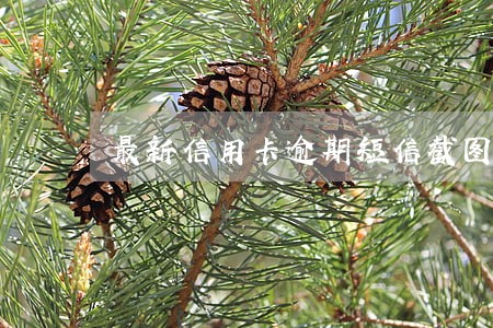 最新信用卡逾期短信截图 最新信用卡逾期短信截图