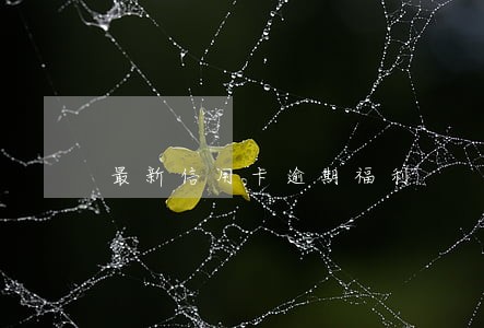 最新信用卡逾期福利 最新信用卡逾期福利