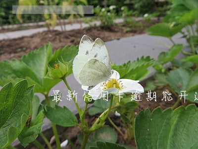 最新信用卡逾期能开通吗 最新信用卡逾期能开通吗
