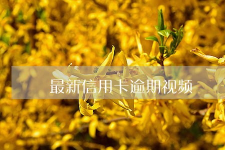 最新信用卡逾期视频 最新信用卡逾期视频