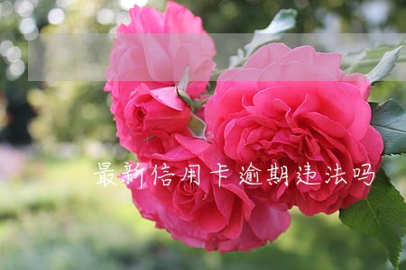 最新信用卡逾期违法吗 最新信用卡逾期违法吗