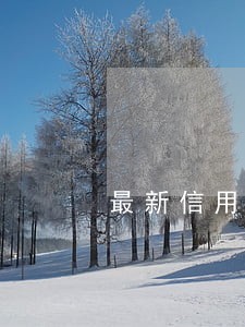 最新信用卡逾期银行减免政策 最新信用卡逾期银行减免政策