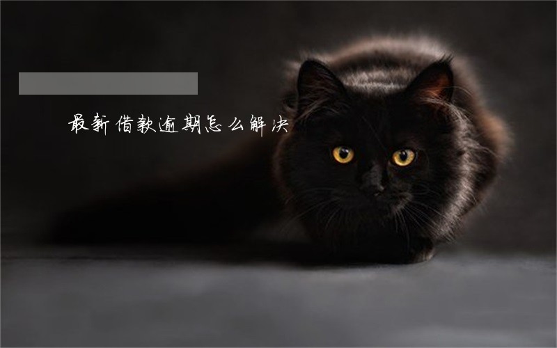 最新借款逾期怎么解决 最新借款逾期怎么解决