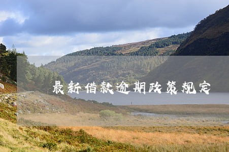 最新借款逾期政策规定