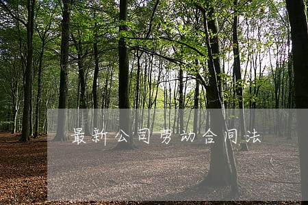 最新公司劳动合同法 最新公司劳动合同法