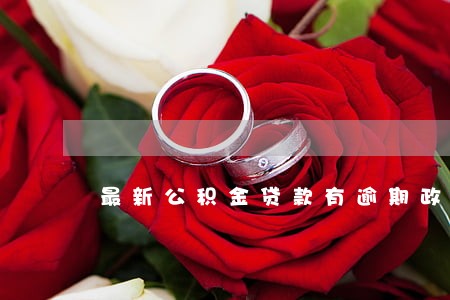 最新公积金贷款有逾期政策 最新公积金贷款有逾期政策