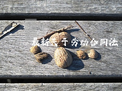 最新关于劳动合同法 最新关于劳动合同法