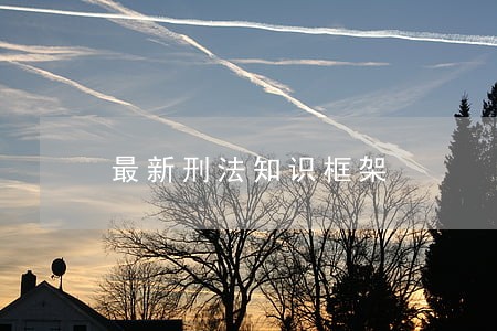 最新刑法知识框架