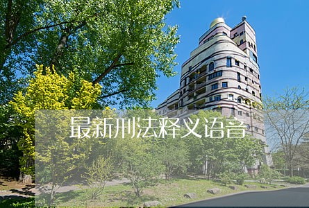 最新刑法释义语音