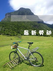 最新劳动合同法板报 最新劳动合同法板报