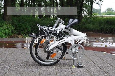 最新劳动法全文第三条是那些解释