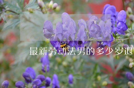 最新劳动法男的多少岁退休年龄 最新劳动法男的多少岁退休年龄