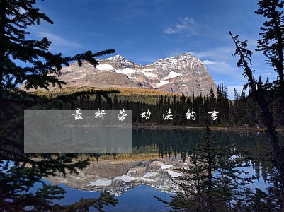 最新劳动法的书 最新劳动法的书
