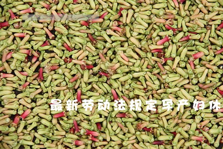 最新劳动法规定孕产妇休假制度 最新劳动法规定孕产妇休假制度