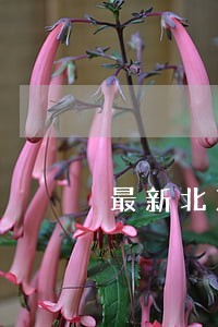 最新北京律师收费标准延庆律师 最新北京律师收费标准延庆律师