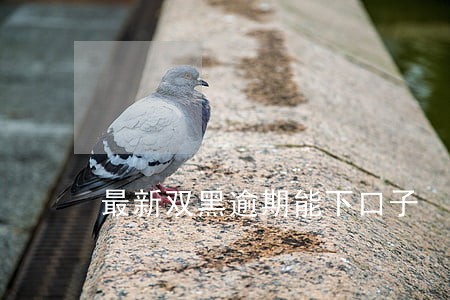 最新双黑逾期能下口子