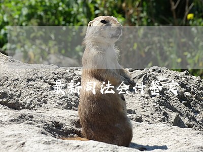 最新司法会计鉴定 最新司法会计鉴定