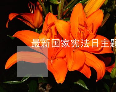 最新国家宪法日主题班会教案三篇 最新国家宪法日主题班会教案三篇