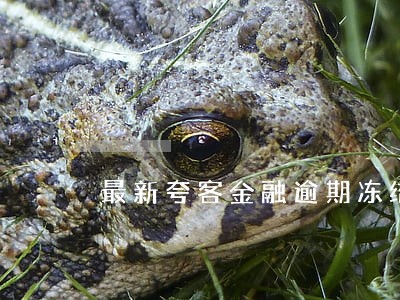 最新夸客金融逾期冻结名单查询