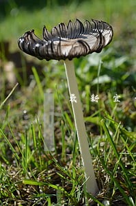 最新宜信普惠逾期了怎么办