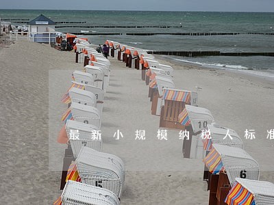 最新小规模纳税人标准