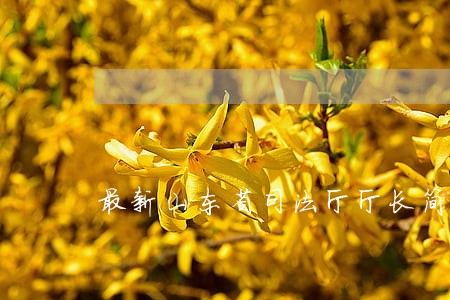 最新山东省司法厅厅长简历