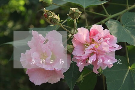 最新工伤认定解释规定 最新工伤认定解释规定