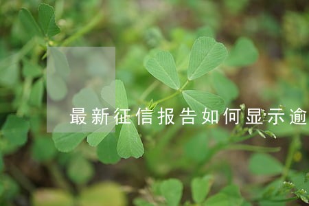 最新征信报告如何显示逾期 最新征信报告如何显示逾期
