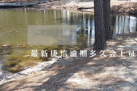 最新捷信逾期多久会上征信