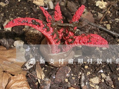 最新支付逾期付款利息的法律依据