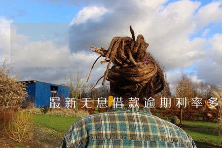 最新无息借款逾期利率多少 最新无息借款逾期利率多少
