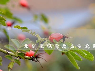 最新无视资质当前逾期口子