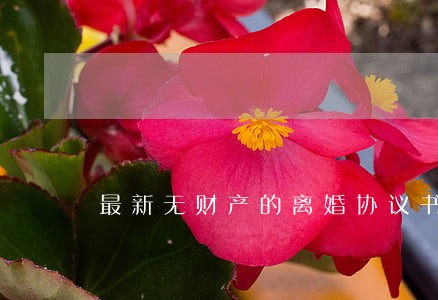 最新无财产的离婚协议书 最新无财产的离婚协议书