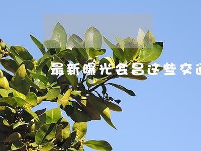 最新曝光会昌这些交通违法行为 最新曝光会昌这些交通违法行为