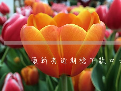 最新有逾期稳下款口子