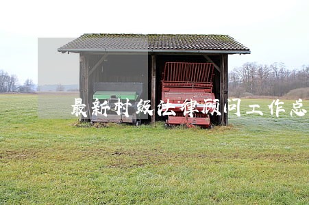 最新村级法律顾问工作总结 最新村级法律顾问工作总结
