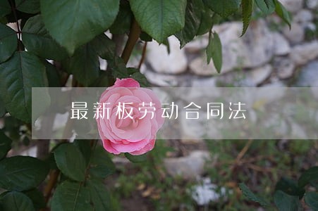 最新板劳动合同法 最新板劳动合同法