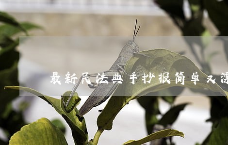 最新民法典手抄报简单又漂亮图片 最新民法典手抄报简单又漂亮图片
