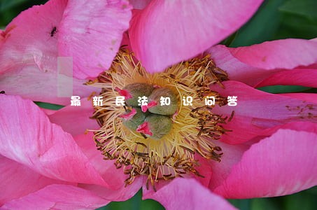 最新民法知识问答