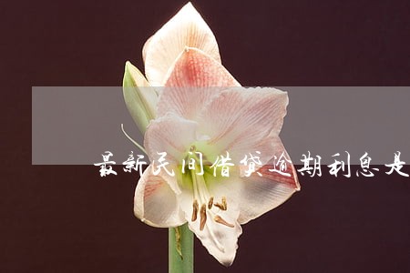最新民间借贷逾期利息是多少 最新民间借贷逾期利息是多少