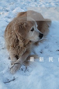 最新民间借贷逾期违约金标准 最新民间借贷逾期违约金标准