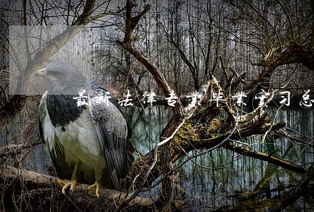 最新法律专业毕业实习总结 最新法律专业毕业实习总结