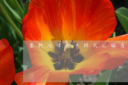最新法律文书样式汇编有哪些 最新法律文书样式汇编有哪些