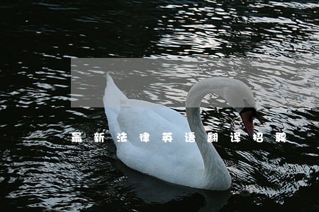 最新法律英语翻译招聘 最新法律英语翻译招聘