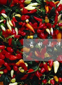 最新法律顾问年度工作计划范文 最新法律顾问年度工作计划范文